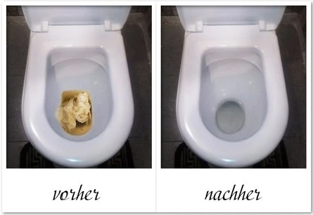 Reinigung einer Toilettenverstopfung